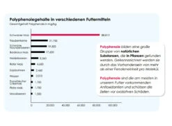 Versele Winter Plus I.C.⁺ 20kg -Haustier Vogel antioxidantien 18