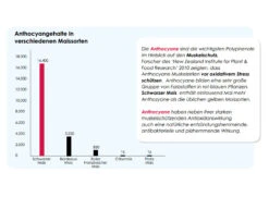 Versele Master Black 20kg -Haustier Vogel antioxidantien 24