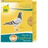 Cede Eifutter Für Tauben 5kg -Haustier Vogel cede eifutter fr tauben 5kg