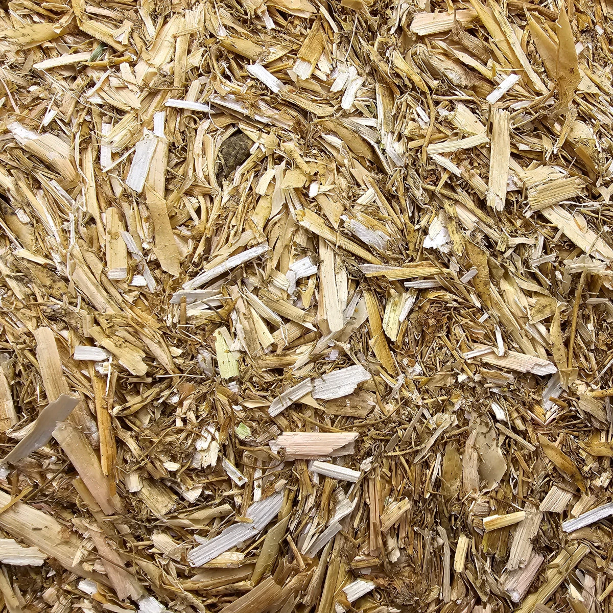 Erbsenstroh Vanrobaeys 10kg 3 Erbsenstroh Vanrobaeys 10kg