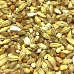 Gladen Säuberung 25kg