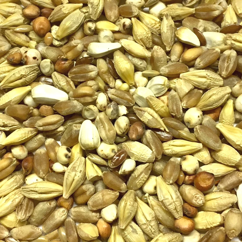 Gladen Säuberung 25kg 3 Gladen Säuberung 25kg