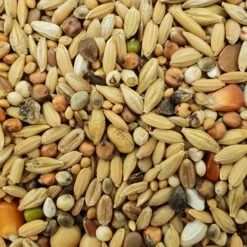 Matador Premium Start 25kg