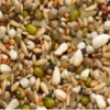 Beyers Premium Sämereien Exclusiv 20Kg 1 Beyers Premium Sämereien Exclusiv 20Kg -Haustier Vogel smexkl