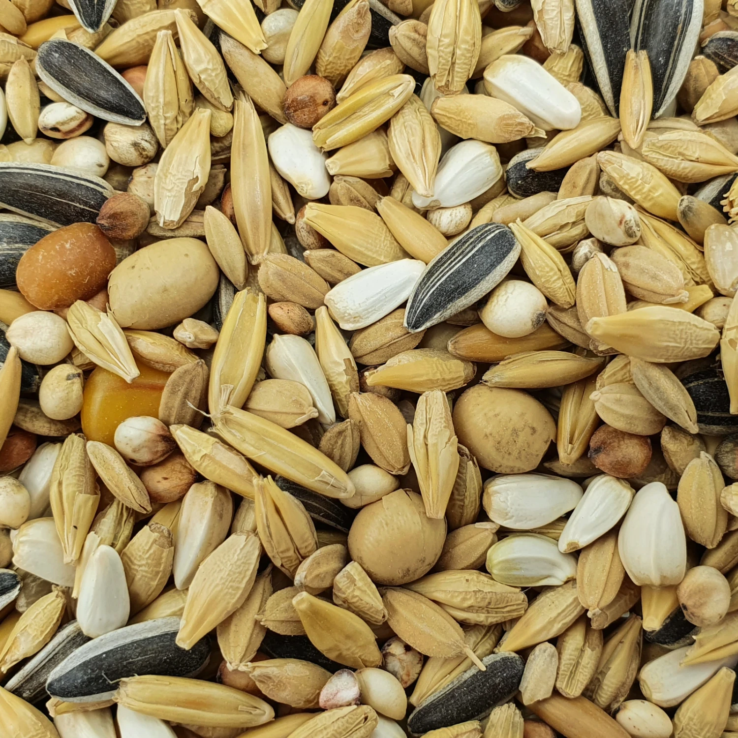 Spinne Huth 4 20kg 3 Spinne Huth 4 20kg