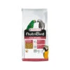 Versele-Laga Nutribird P19 Original -Haustier Vogel versele laga nutribird p19 original kweek 201542 0500 none