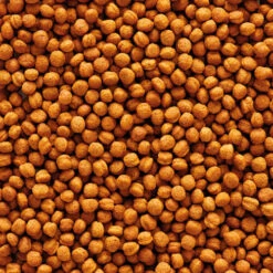 Haustier Vogel -Haustier Vogel versele laga nutribird t16 toekan 219042 0500 none